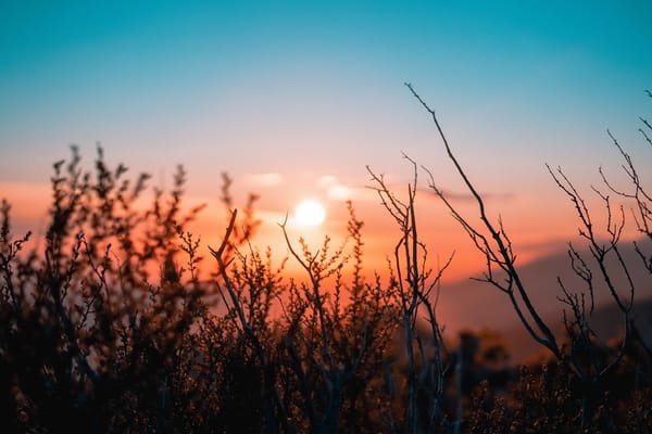 sunrise desert