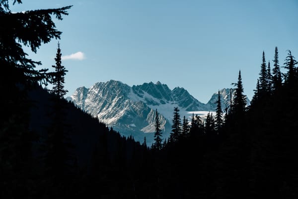 mountains through trees