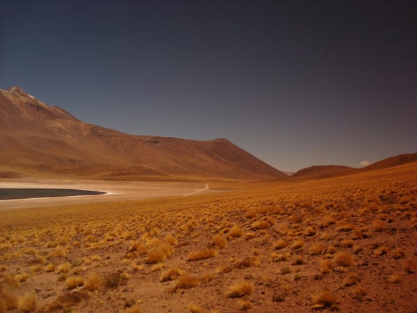 wilderness desert