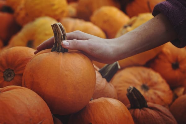Daily Devotion - Choosing Gratitude in a Difficult Season
