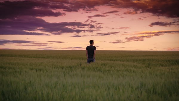 man in field alone
