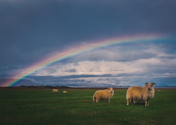 Daily Devotion - Knowing God's Promises