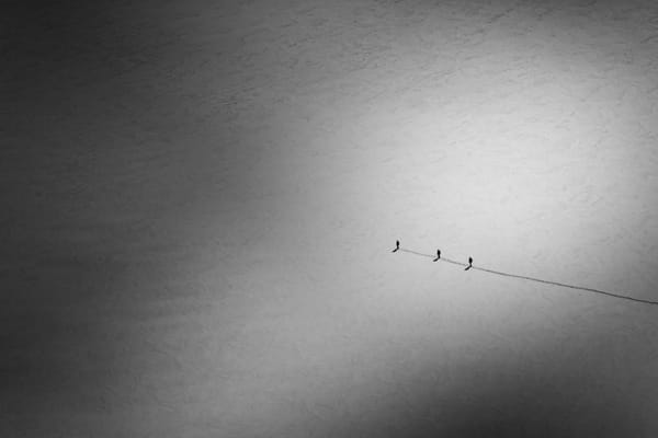 men walking through snow single file