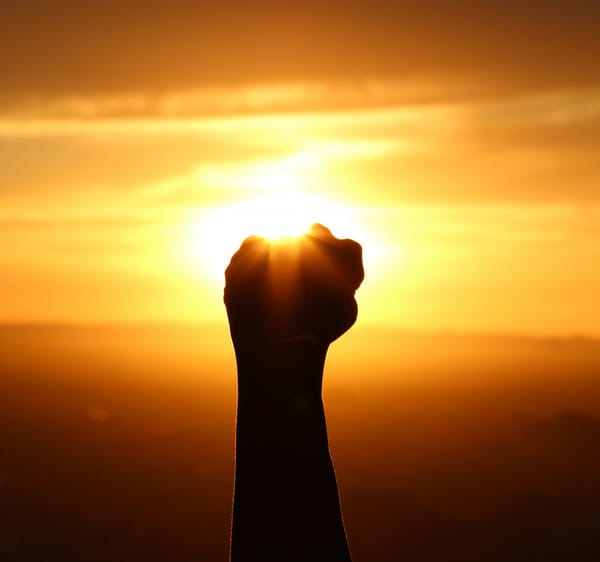 fist in the air