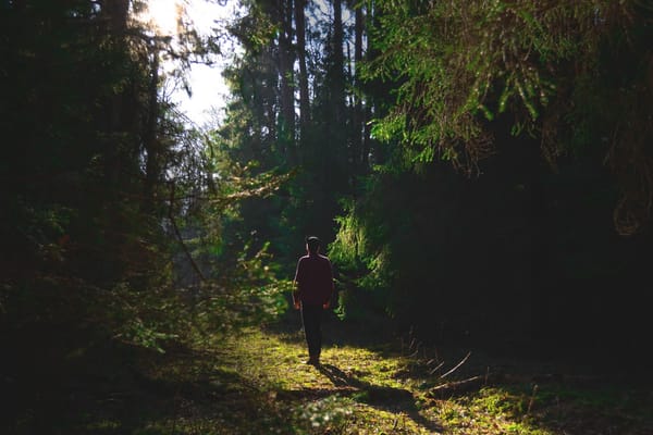 man in forest