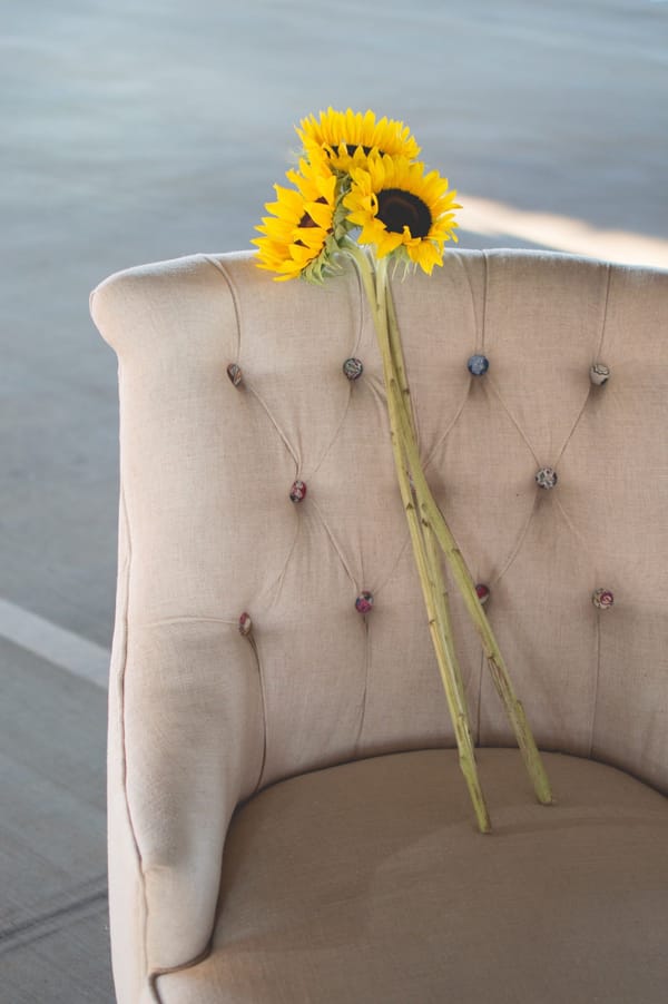 Daily Devotable - Confessions From The Waiting Room