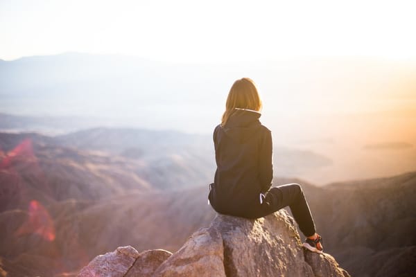 Daily Devotion - Seeking Wisdom and Understanding