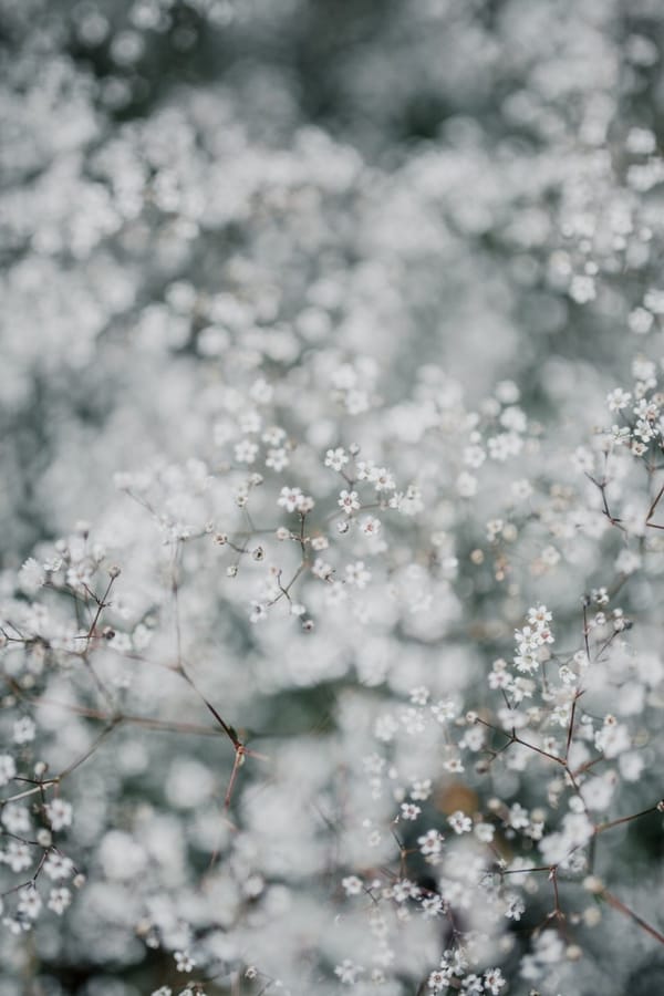 Daily Devotion - Ephesians 1:1 - True Identity